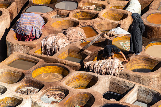 Fes Tannery