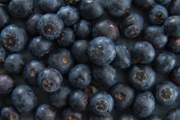 Fresh blueberries