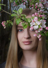 A young girl with blond hair in a blossoming apple orchard,