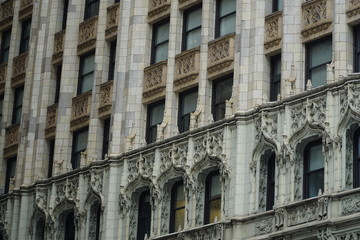 Fototapeta premium Woolworth Building NYC