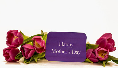 Mother's Day sign, tulips on white background, spring. Greeting card template