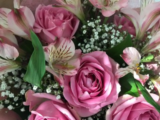 Floral texture in pink white and green colors from flowers of different types and different sharpness.Mobile photos in natural daylight