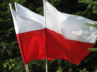 flaga polski © Tomek