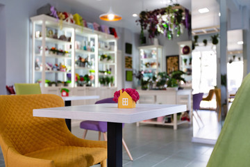 Focus on pink moss in flower pot