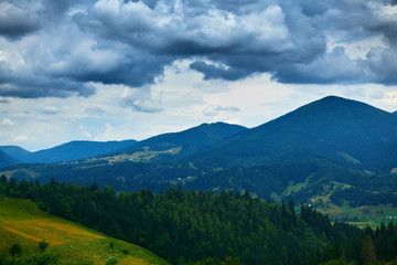 nature, beautiful cloudy sky, summer landscape in carpathian mountains, wildflowers and meadow, spruces on hills