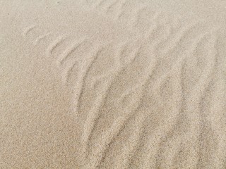 Fototapeta na wymiar Sand texture. Sandy beach for background. Top view. 