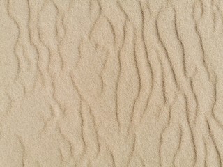 Obraz na płótnie Canvas Sand texture. Sandy beach for background. Top view. 