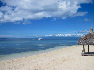 tropical beach with palm trees