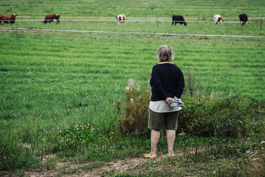 Farmer Looking at a Herd of Cows