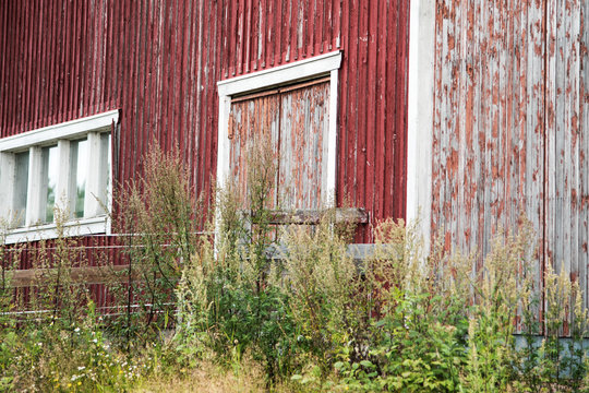 Vivid Barn Door