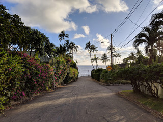 Fototapeta na wymiar Road leading to the ocean