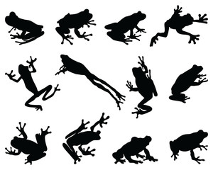Black silhouettes of frog on a white background