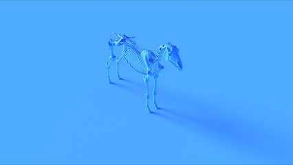 Blue Horse Skeletal System Anatomical 3d illustration 3d render	