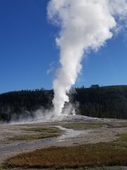 old faithful