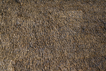 Thatched roof faded texture. Roof in an ancient house. Country style.