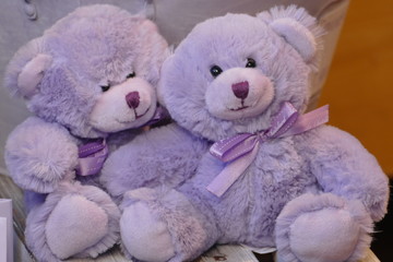Zwei lila Teddybären sitzend