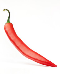 Red hot chilli pepper isolated on white background.