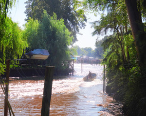 Lush vegetation, motor boat on a fast river. Tigra delta in Argentina, canals and river system of...