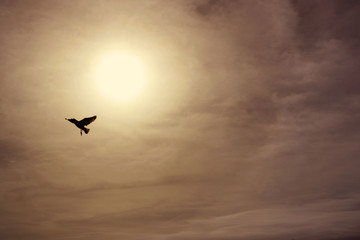 Fototapeta na wymiar a migratory bird flying high and free in the sky at sunset towards the sun on a sepia background with clouds - evocative wallpaper