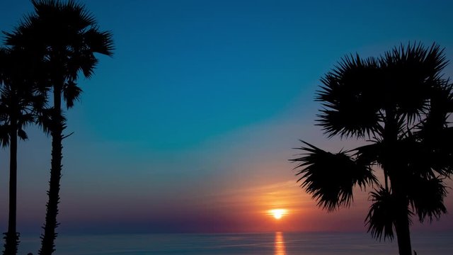 4K 60P Sunset　beach　timelapse　Tropical scene　Resort　palm tree Cape