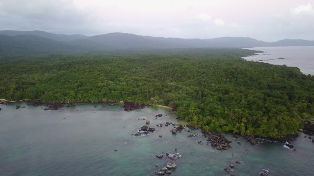 Pristine nature: Aerial drone footage of Humpback whale mother and calf swimming close to shore off pristine beaches and untouched rainforest / Masoala Madagascar