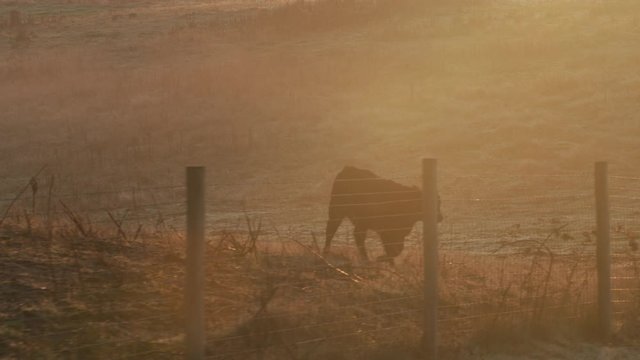 Sunrise shot of Willamette Valley