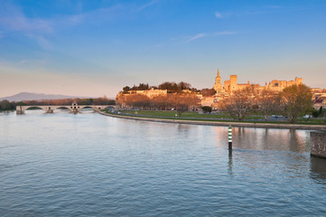 Fototapeta premium Avignon skyline as seen from Pont Edouard Daladier, France