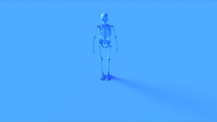 Blue Ecorche System Anatomical Model Front 3d illustration 3d render	