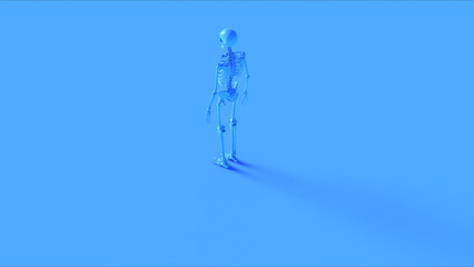 Blue Ecorche Anatomical Model Rear Left View 3d illustration 3d render