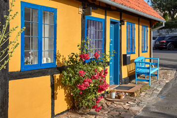 Red roses blossoming in front of the traditional half-timbered yellow house in the town of Gudhjem, Bornholm island, Denmark.