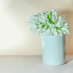 Cute bunch of snowdrops in a white vase. The first spring flowers. Copy space.