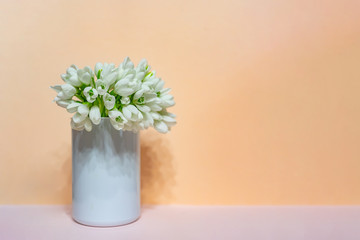 Cute bunch of snowdrops in a white vase. The first spring flowers. Copy space.
