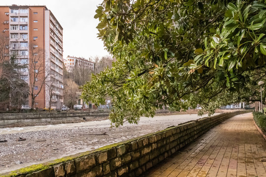 Khosta, a resort on Black Sea coast of Caucasus, microdistrict of city of Sochi. Embankment of mountain Khosta River. Evergreen Magnolia