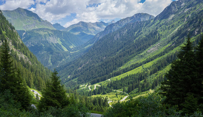 Fototapeta na wymiar A beautful green valley in the alps of Vorarlberg, austria.