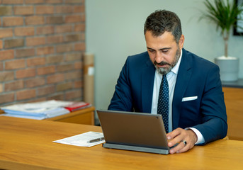 The boss, who checks and takes notes at the computer in his own workroom in the office, the handsome hardworking boss with the beard in the suit, the bank manager, the team leader