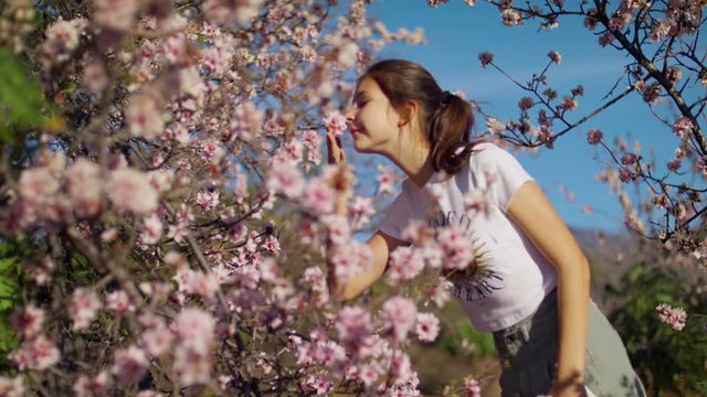 Walking through the spring forest, Pink Sakura flower, Cherry blossom Young girl sniffs and Enjoys Almond blossomin Teide National Park Spring blossom Sakura Flowers, Breathe Aroma. Tenerife, Shot URS