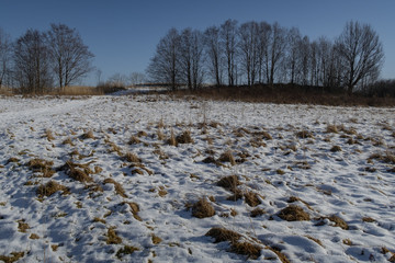 Panorama z widokiem na góry, drzewa z pięknym światłem © Tomasz