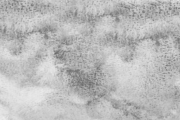Grey abstract watercolor background. Painting on paper