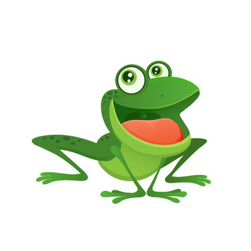 vector image of a bright cartoon cute green frog with big eyes and wide mouth, long frog legs, swamp toad, isolated on white eps 10, illustration for print, kids funny alphabet mascot with smile