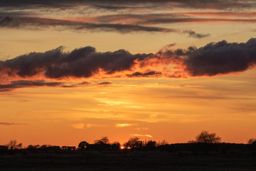 Fototapeta na wymiar Sunset over Alvaret on Oland, Southern Sweden.