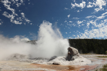 Erupting Yellowstone Geyser