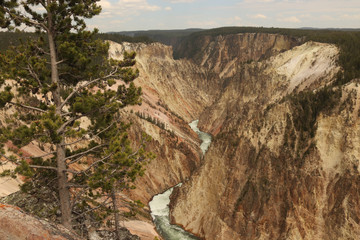 river running through a rocky canyon