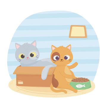 cats make me happy, cat in box and other with food cartoon