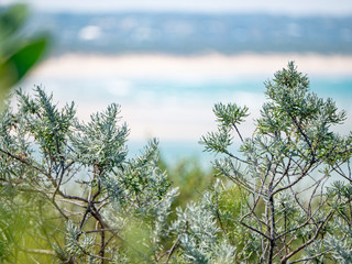 Beach in melbourne great ocean road