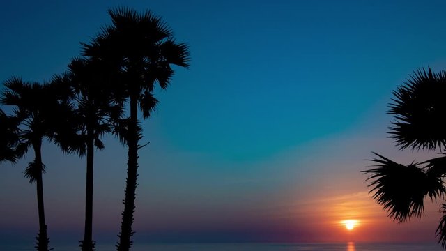4K 60P Sunset　beach　timelapse　Tropical scene　Resort　palm tree Cape