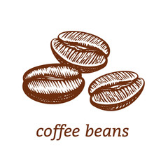 Coffee beans. linocut. Vector illustration.