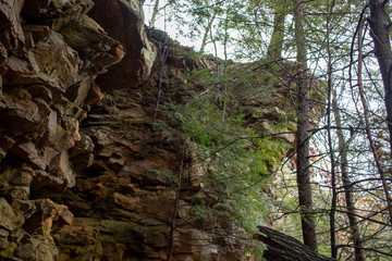 Rock face cliff in a pine forest