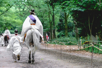 Kurabe Uma - Sacred Japanese Horse Racing at Shimogamo Shrine, Kyoto