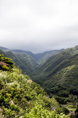 Fototapeta premium view of mountains