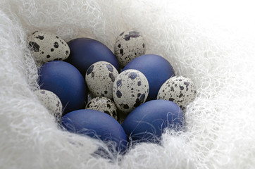 Happy easter card - place for text. Blue easter and quail eggs in a snow-white woolen cozy nest on a white wooden background, selective focus image. bright contrast blank for holiday card